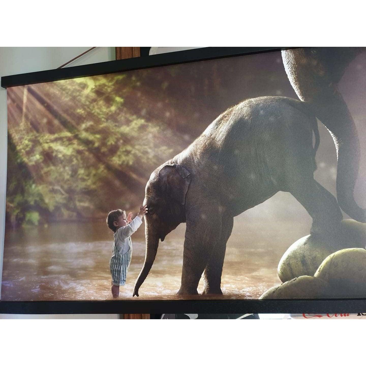 Baby olifant - Unieke Foto