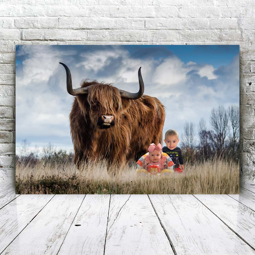 Scottish Highlander