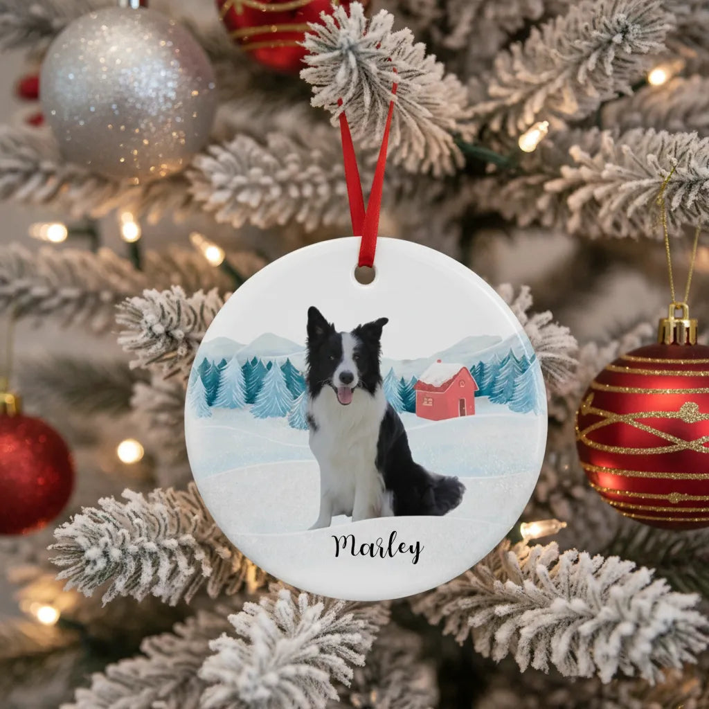 Personalized Pet Ornament - Ceramic