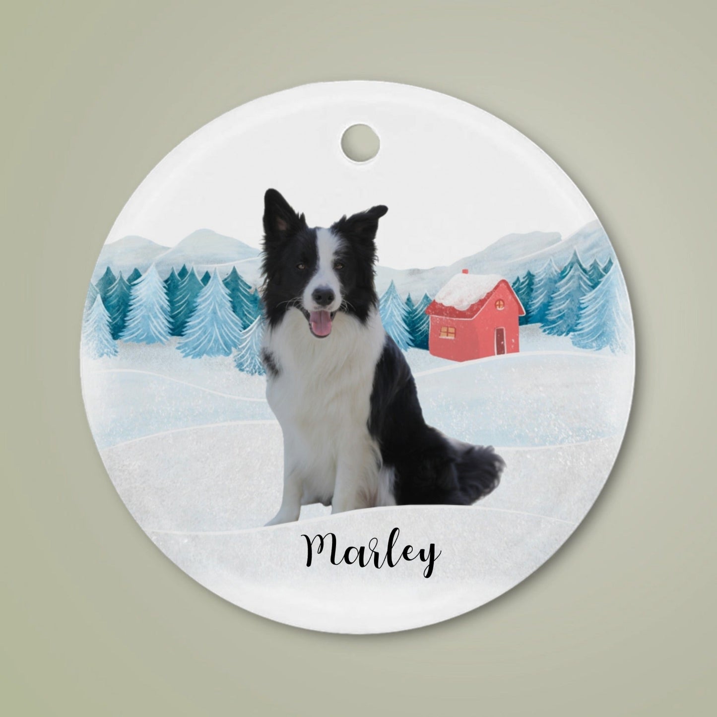 Personalized Pet Ornament - Ceramic