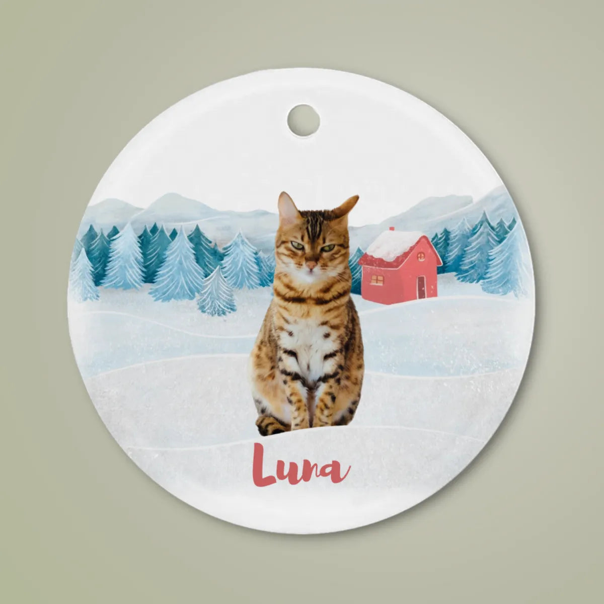 Personalized Pet Ornament - Ceramic