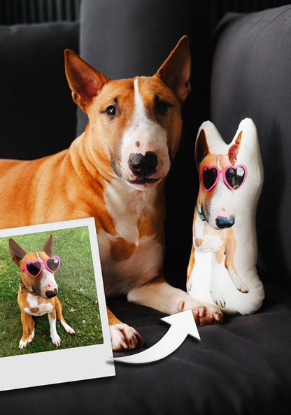 Custom Pet Pillow