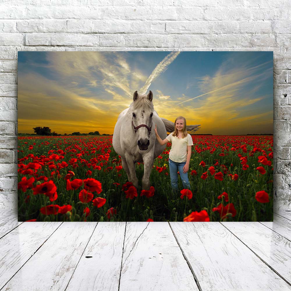 Horse in Flower Field